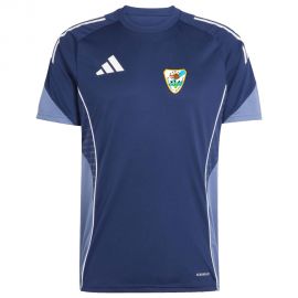 adidas Tiro 25 Competition SpVgg Röhrmoos-Großinzemoos Fußball Herren Herren Damen Fußball Trikot
