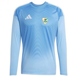 adidas Tiro 25 Competition SpVgg Röhrmoos-Großinzemoos Fußball Herren Herren Damen Torwarttrikot