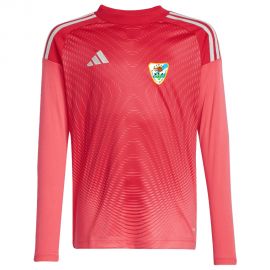 adidas Tiro 25 Competition SpVgg Röhrmoos-Großinzemoos Fußball Herren Kinder Torwarttrikot