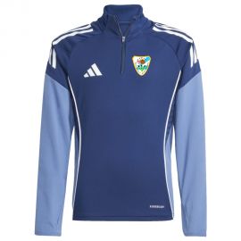 adidas Tiro 25 Competition SpVgg Röhrmoos-Großinzemoos Fußball Herren Kinder Trainingstop