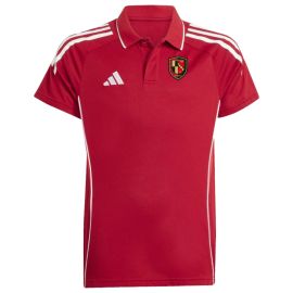 adidas Tiro 25 Competition TSV Windsbach Kinder Poloshirt