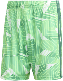 adidas Tiro 26 Competition Torwartshorts
