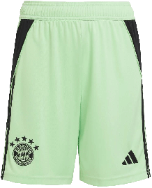 adidas Torwartshorts 2025 2026 FC Bayern München