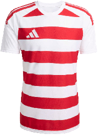 adidas Trikot Hooped 26
