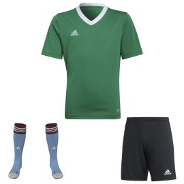 view:front;position:11;concreteColor:560;baseColor:953;colorCombination:1108;colorBlock1:560;colorBlock2:600;colorBlock3:2078
