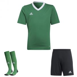 view:front;position:11;concreteColor:560;baseColor:953;colorCombination:1108;colorBlock1:560;colorBlock2:600;colorBlock3:560