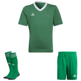 view:front;position:11;concreteColor:560;baseColor:953;colorCombination:1108;colorBlock1:560;colorBlock2:560;colorBlock3:560