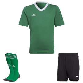 view:front;position:11;concreteColor:695;baseColor:952;colorCombination:1106;colorBlock1:695;colorBlock2:600;colorBlock3:695