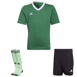view:front;position:11;concreteColor:695;baseColor:952;colorCombination:1106;colorBlock1:695;colorBlock2:600;colorBlock3:635