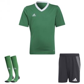 view:front;position:11;concreteColor:560;baseColor:953;colorCombination:1108;colorBlock1:560;colorBlock2:534;colorBlock3:560