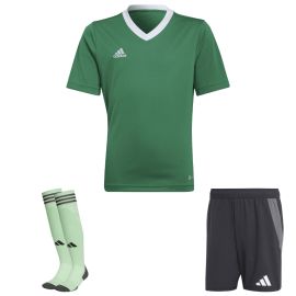 view:front;position:11;concreteColor:695;baseColor:952;colorCombination:1106;colorBlock1:695;colorBlock2:534;colorBlock3:635