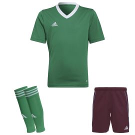 view:front;position:11;concreteColor:560;baseColor:953;colorCombination:1108;colorBlock1:560;colorBlock2:2252;colorBlock3:560