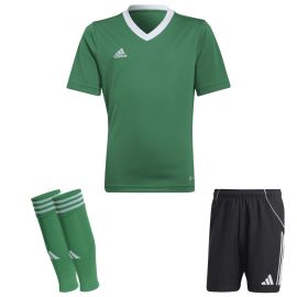 view:front;position:11;concreteColor:560;baseColor:953;colorCombination:1108;colorBlock1:560;colorBlock2:600;colorBlock3:560