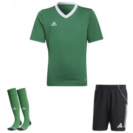 view:front;position:11;concreteColor:560;baseColor:953;colorCombination:1108;colorBlock1:560;colorBlock2:600;colorBlock3:560