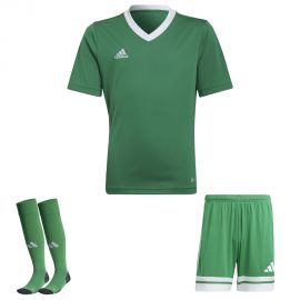 view:front;position:11;concreteColor:560;baseColor:953;colorCombination:1108;colorBlock1:560;colorBlock2:560;colorBlock3:560