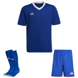 view:front;position:11;concreteColor:695;baseColor:952;colorCombination:1106;colorBlock1:695;colorBlock2:531;colorBlock3:695