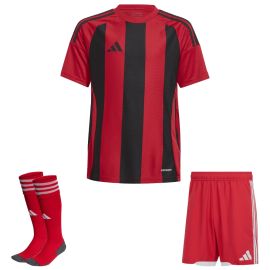 adidas Trikotsatz Striped 24 Herren Damen 3-teilig Trikot Match Shorts Sockenstutzen