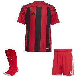 adidas Trikotsatz Striped 24 Herren Damen 3-teilig Trikot Match Shorts Sockenstutzen