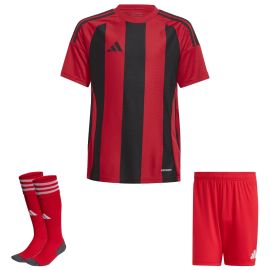 adidas Trikotsatz Striped 24 Herren Damen 3-teilig Trikot Shorts Sockenstutzen