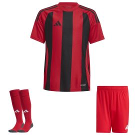 adidas Trikotsatz Striped 24 Herren Damen 3-teilig Trikot Shorts Sockenstutzen