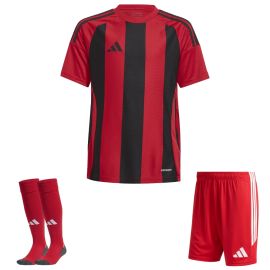 adidas Trikotsatz Striped 24 Herren Damen 3-teilig Trikot Shorts Sockenstutzen