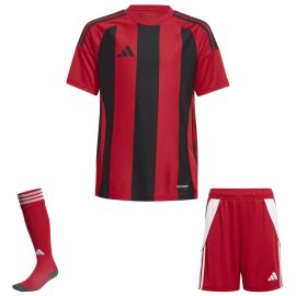 adidas Trikotsatz Striped 24 Herren Damen 3-teilig Trikot Shorts Sockenstutzen