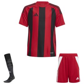 adidas Trikotsatz Striped 24 Herren Damen 3-teilig Trikot Shorts Torwart Sockenstutzen