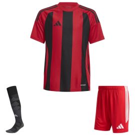 adidas Trikotsatz Striped 24 Herren Damen 3-teilig Trikot Shorts Torwart Sockenstutzen