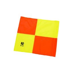 Diverse Badischer FV