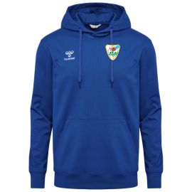 Hummel SpVgg Röhrmoos-Großinzemoos Bogenschützen Go 2.0 Herren Damen Hoodie