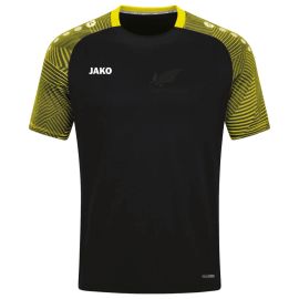 Jako Performance SV Eintracht Seekirch Kinder T-Shirt