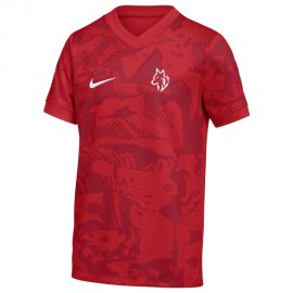 Nike SV Genclerbirligi 1995 Precision VII Kinder Fussball Trikot