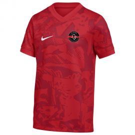 Nike SV Genclerbirligi Wasserburg Precision VII Kinder Fussball Trikot