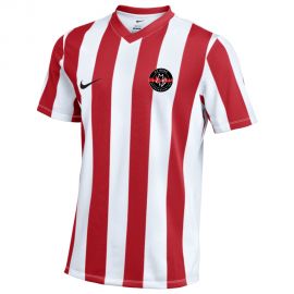Nike SV Genclerbirligi Wasserburg Striped Division V Herren Damen Fussball Trikot