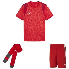 Puma teamCUP Trikotsatz Herren Damen 3-teilig Fussball Trikot Fussballshort Core Sockenstutzen