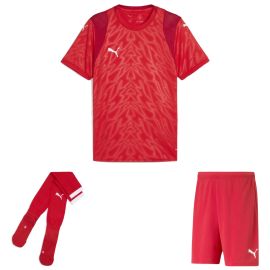 Puma teamCUP Trikotsatz Herren Damen 3-teilig Fussball Trikot Fussballshort Sockenstutzen