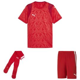 Puma teamCUP Trikotsatz Herren Damen 3-teilig Fussball Trikot Fussballshort Sockenstutzen
