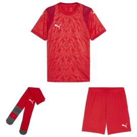 Puma teamCUP Trikotsatz Herren Damen 3-teilig Fussball Trikot Shorts Core Sockenstutzen