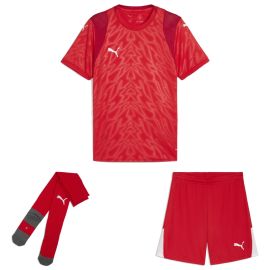 Puma teamCUP Trikotsatz Herren Damen 3-teilig Fussball Trikot Shorts Core Sockenstutzen