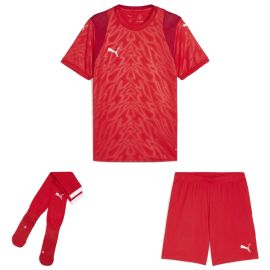Puma teamCUP Trikotsatz Herren Damen 3-teilig Fussball Trikot Shorts Sockenstutzen