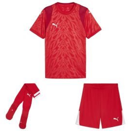 Puma teamCUP Trikotsatz Herren Damen 3-teilig Fussball Trikot Shorts Sockenstutzen