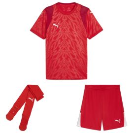 Puma teamCUP Trikotsatz Herren Damen 3-teilig Fussball Trikot Shorts Sockenstutzen