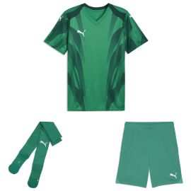 Puma teamFINAL26 Trikotsatz Herren Damen 3-teilig Graphic+ Trikot Shorts Sockenstutzen