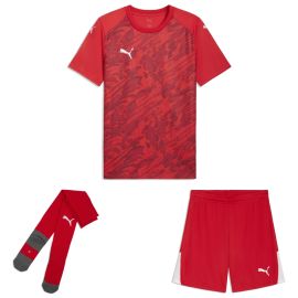 Puma teamFINAL26 Trikotsatz Kinder 3-teilig Graphic Trikot Shorts Core Sockenstutzen