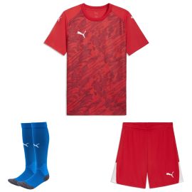 Puma teamFINAL26 Trikotsatz Kinder 3-teilig Graphic Trikot Shorts Fussballsocken