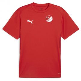 Puma teamGoal SV Hundszell Herren Damen Fussball Trikot