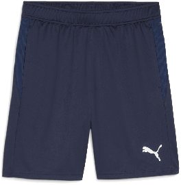 Puma teamGoal Trainingsshorts