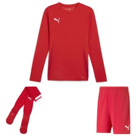 Puma teamGoal Trikotsatz langarm Herren Damen 3-teilig Langarmtrikot Fussballshort Sockenstutzen