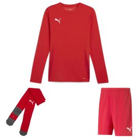 Puma teamGoal Trikotsatz langarm Herren Damen 3-teilig Langarmtrikot Fussballshort
