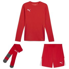 Puma teamGoal Trikotsatz langarm Herren Damen 3-teilig Langarmtrikot Shorts Core Sockenstutzen